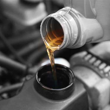 Service & Inspektion